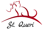 Queri logo.png