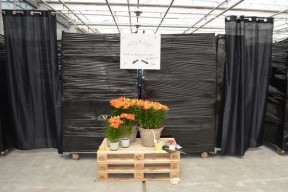 doolhof FlowerTrials 2017
